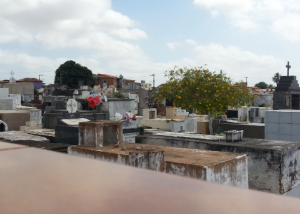 Euclídes da Cunha, 85-131 - CODOZINHO, SAO LUIS - MA, 65015270
